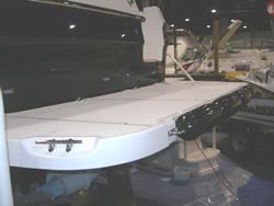 Swim step with fenders