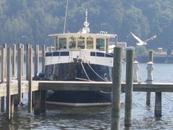 Bow view