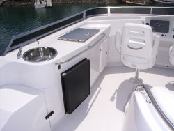 Bridge grill, fridge and sink