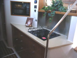 Convection micro & propane cooktop