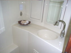 Vanity and large shower area