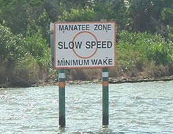 No Wake Sign