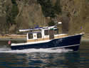 Ranger Tug 29